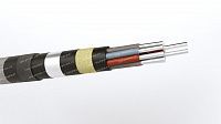 Кабель АКПсВБ 10х2,5